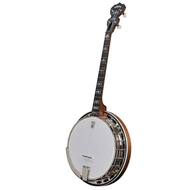 Professional Banjo