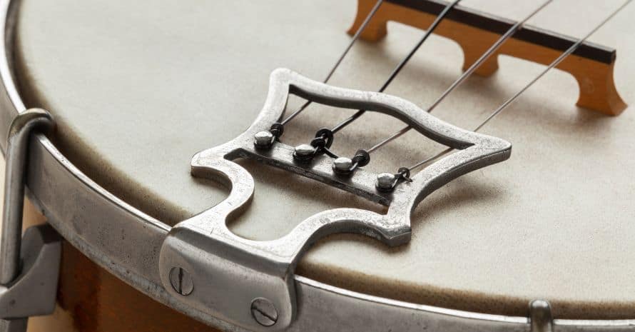 banjo strings, close view