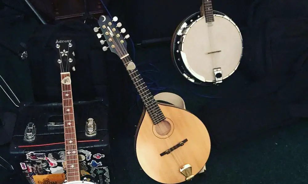 Comparison of banjos and mandolins