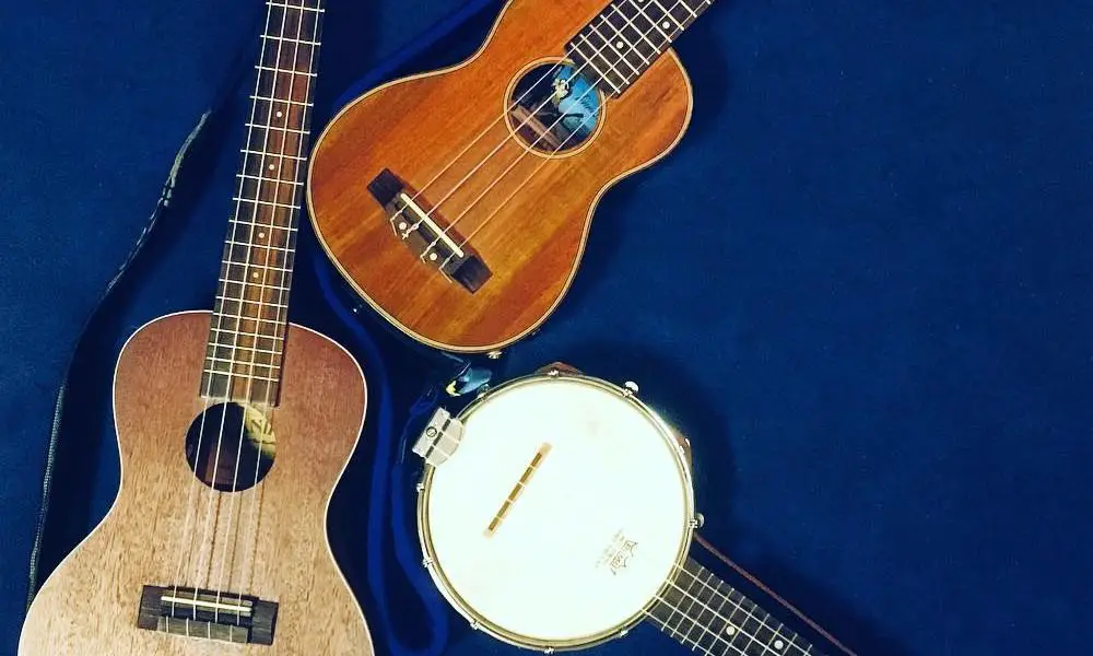 Banjo and ukulele selection