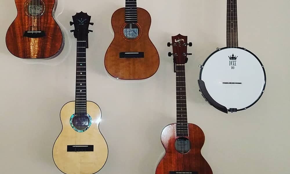 Banjo and ukulele choices