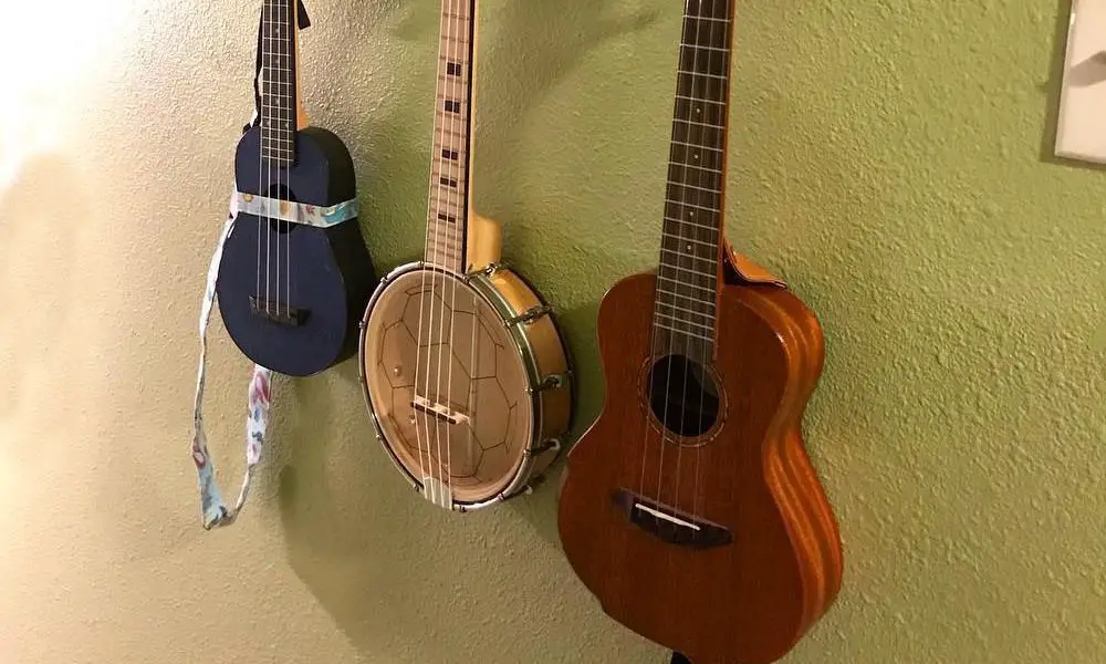 Banjo and ukulele selections