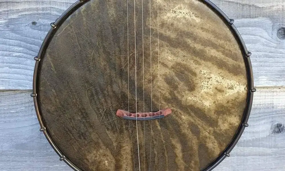 five-string banjo choice