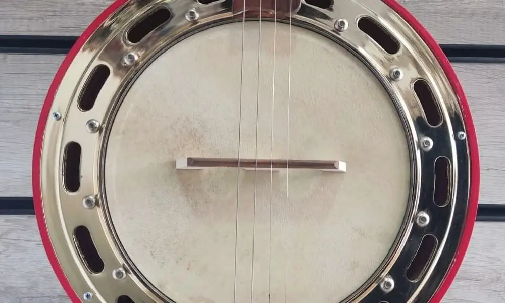 Four-string banjo