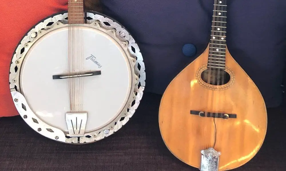 A comparison of banjos and mandolins