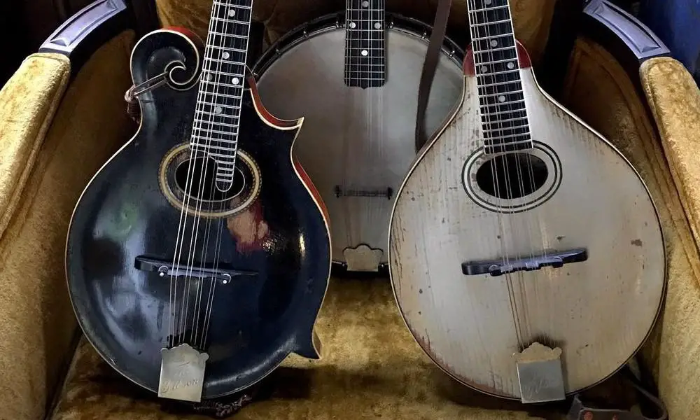 A Comparison of Banjo and Mandolin