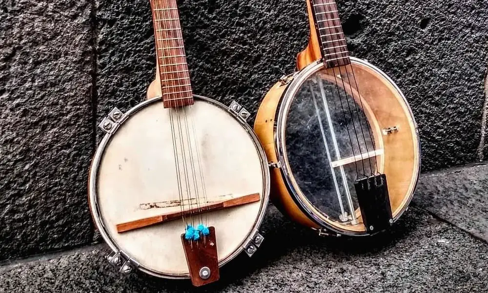 Tenor banjo is the best choice