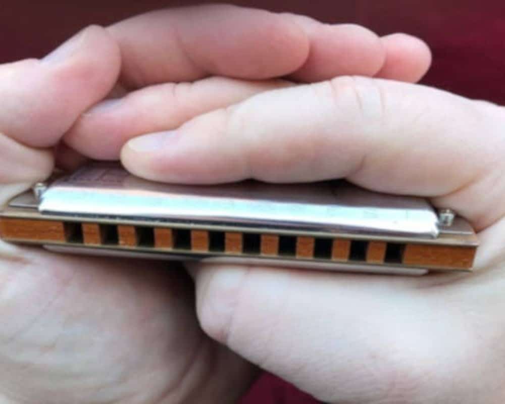hands hold a harmonica