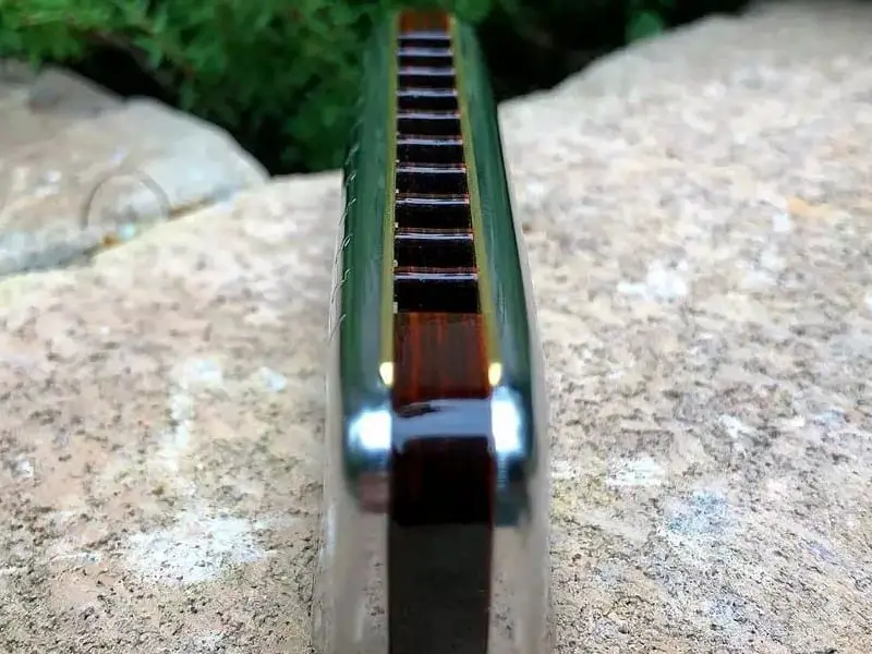 harmonica side view