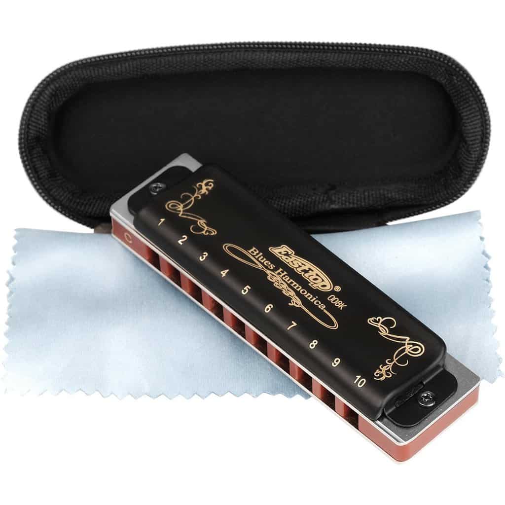 Care And Maintenance Of The Harmonica