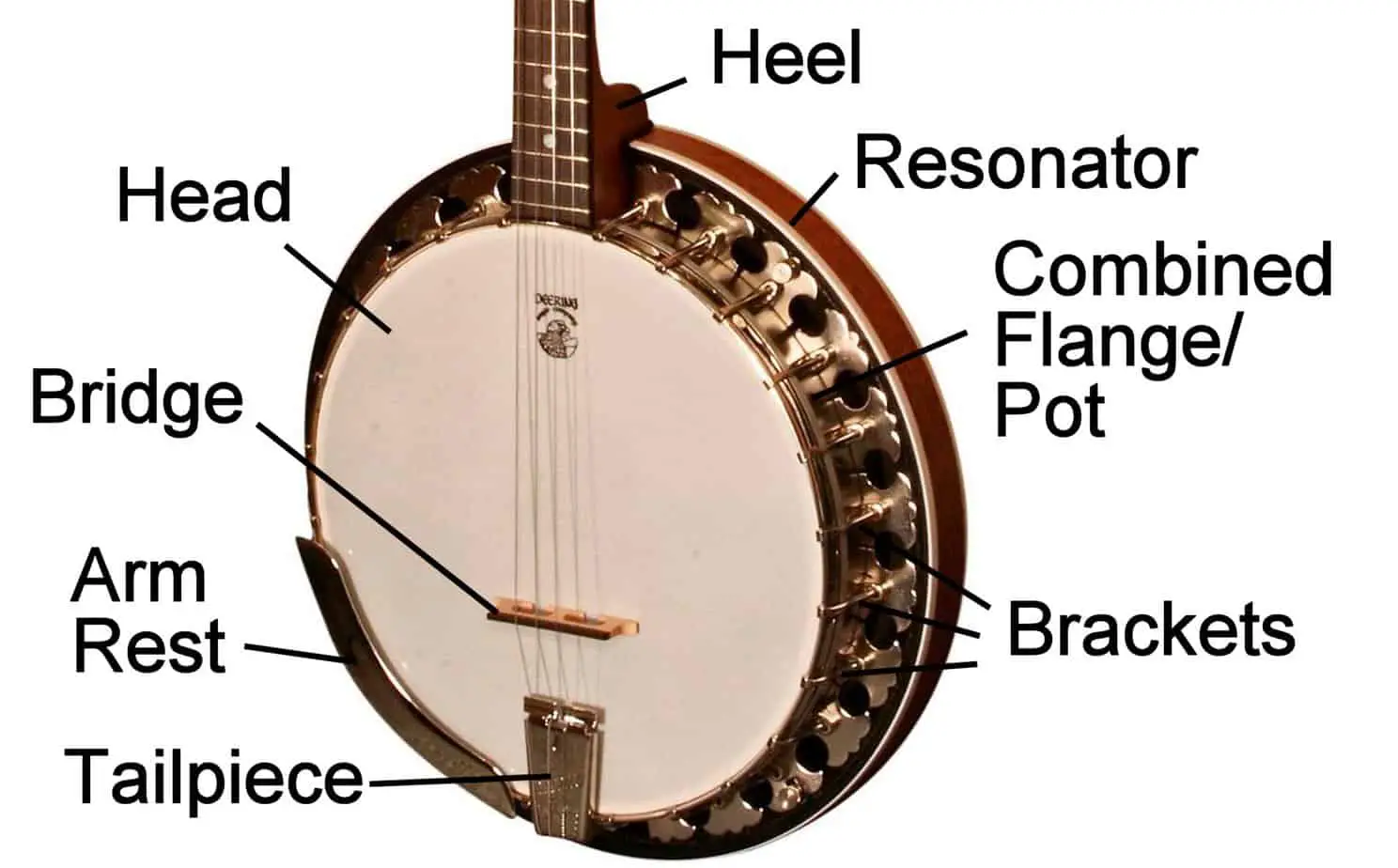 Components Of A Resonator Banjo