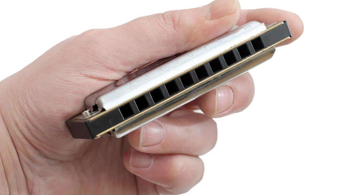 Different Types Of Harmonicas