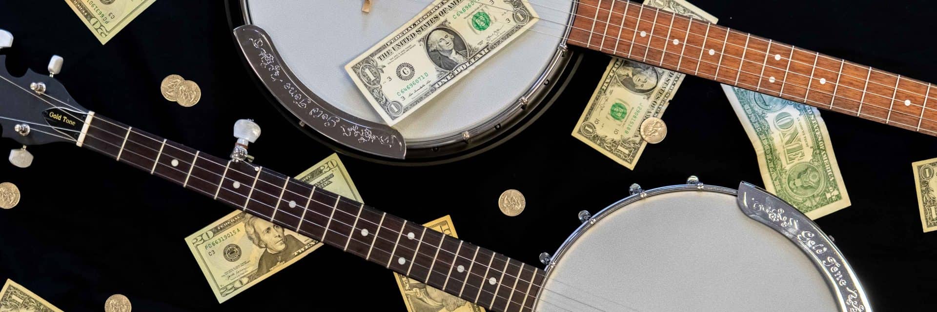 Factors Affecting Banjo Price