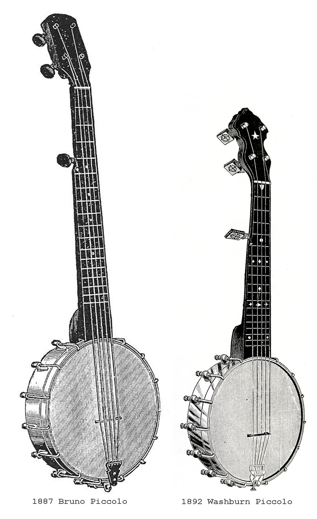 History Of The Banjo