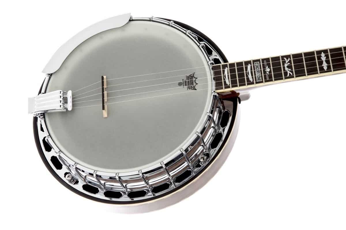 How To Read A Fender Banjo Serial Number