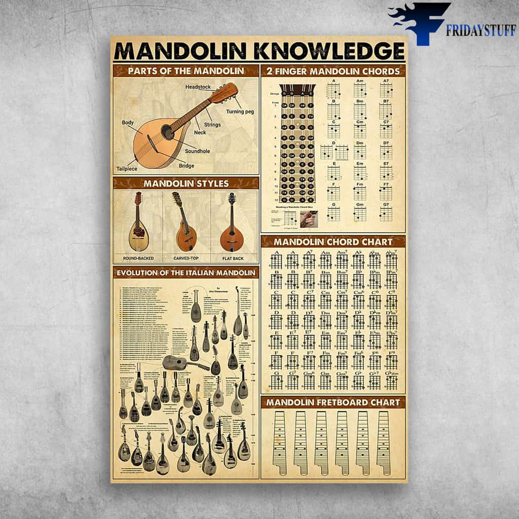 Parts Of A Mandolin