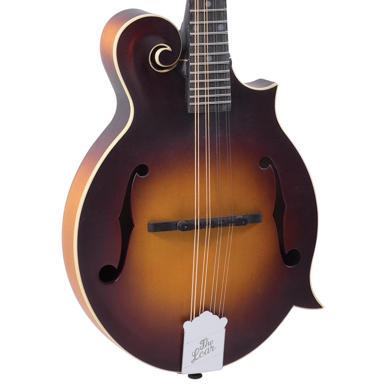 Pros And Cons Of Loar Mandolins