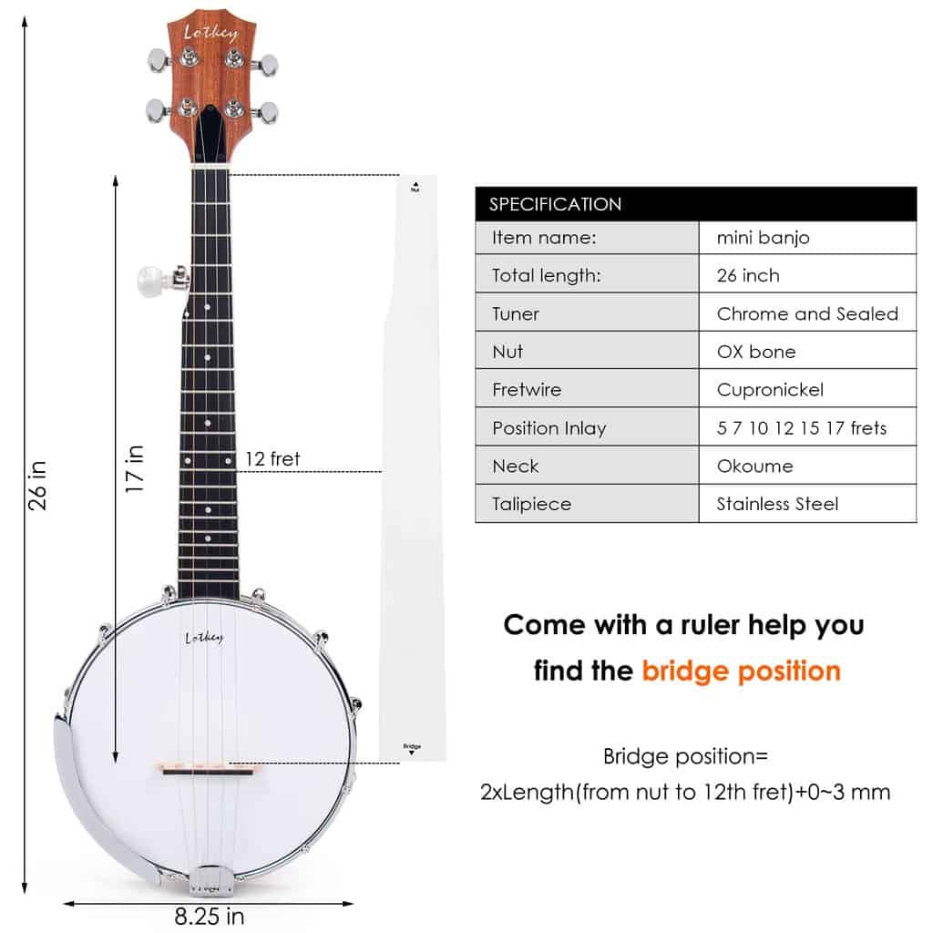 Small Banjo Design And Parts