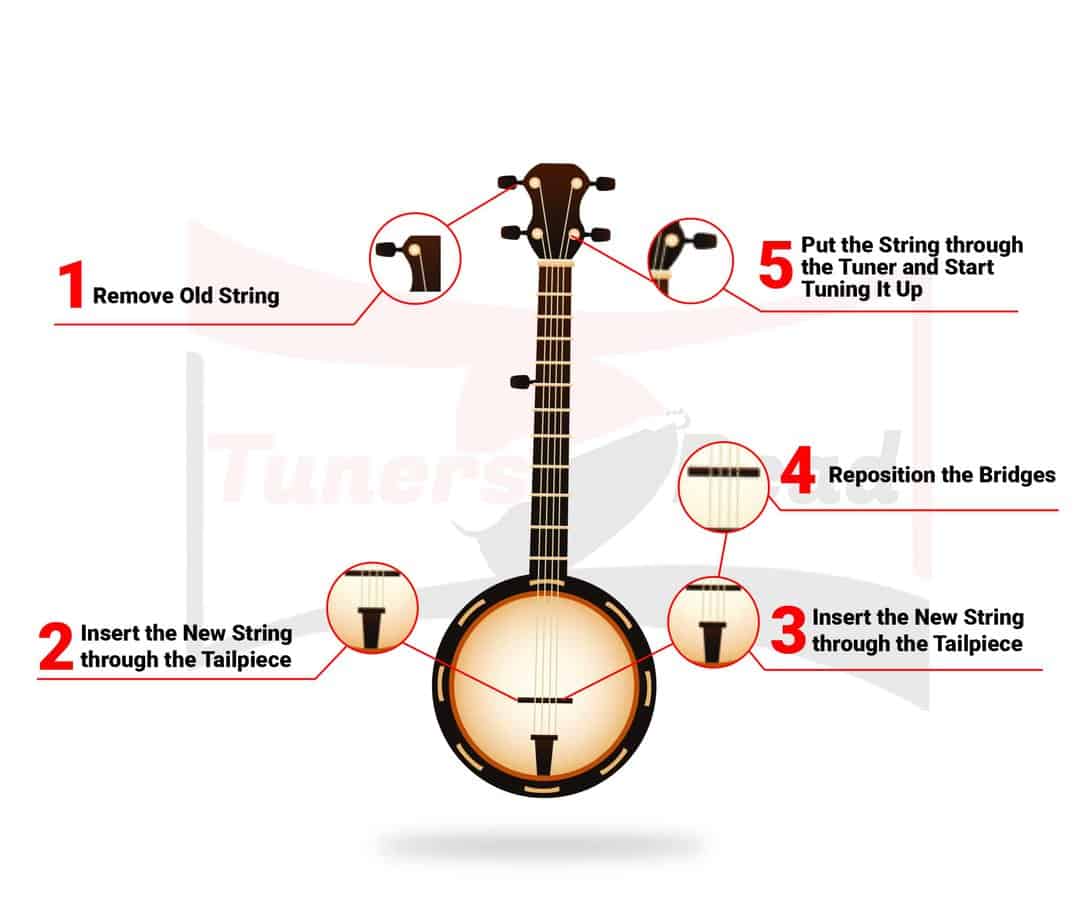 Stringing And Restringing A Banjo
