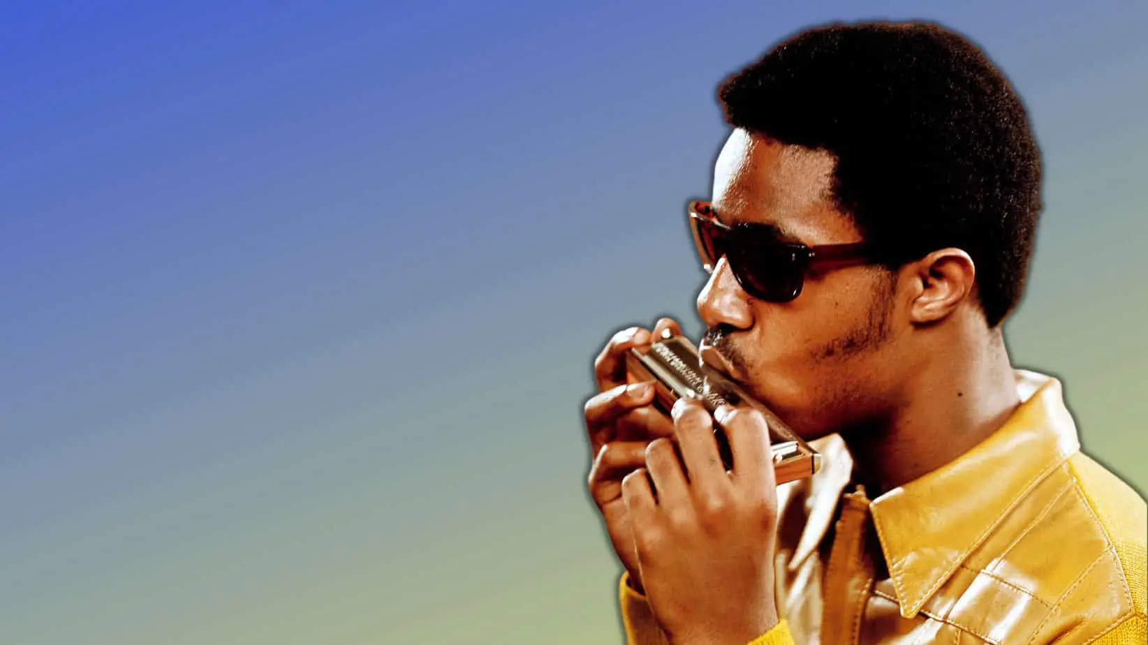 Techniques Used In Stevie Wonder'S Harmonica Playing