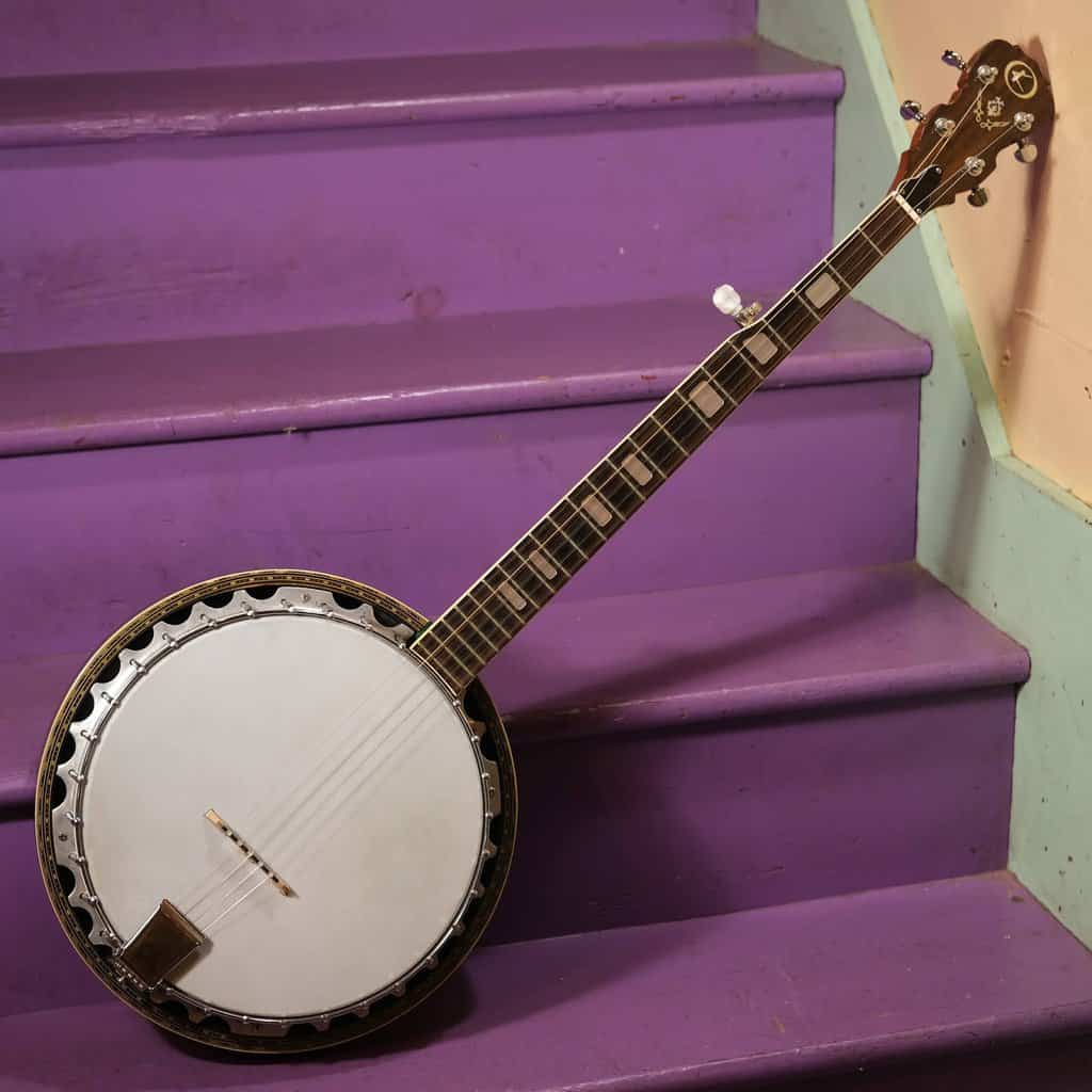 The 5-String Banjo