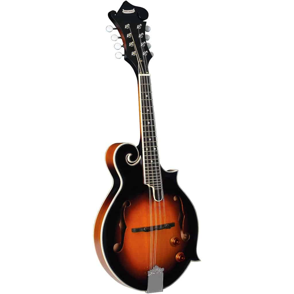 The Impact Of Morgan Monroe Mandolins On The Music Industry