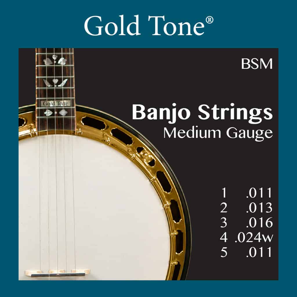 The Strings Of A 5-String Banjo