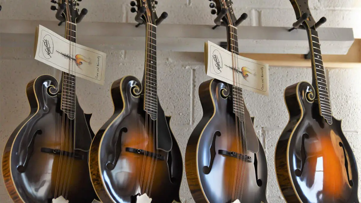 Tips For Maintaining The Mandolin'S Tune