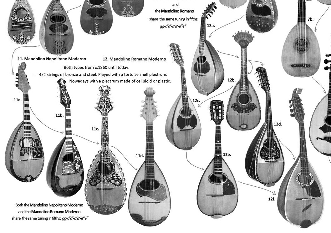 What are the Different Types of Mandolins? Find Out Here!