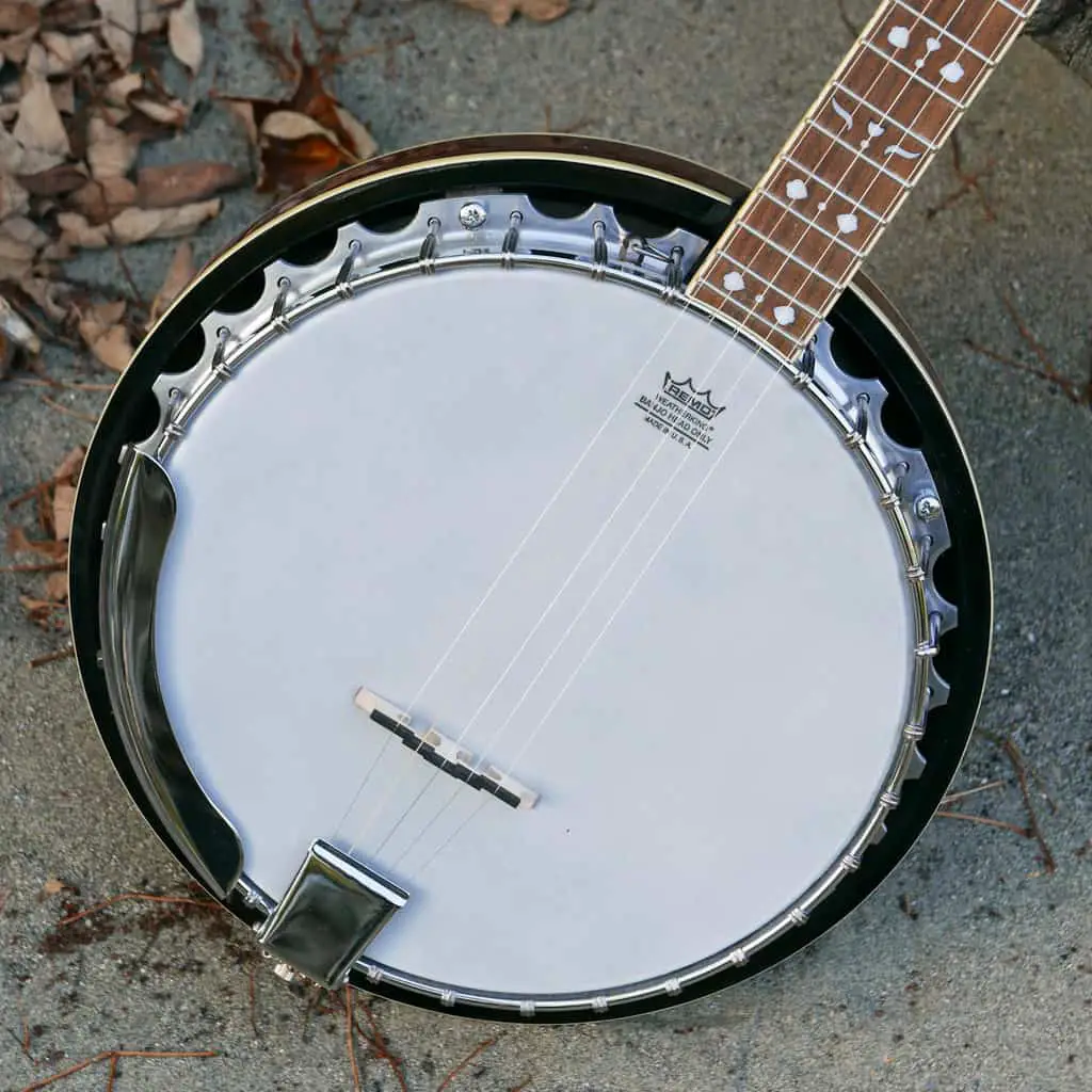 What Is A Fender Banjo?
