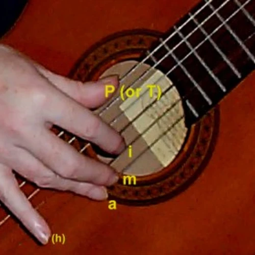 Basic Fingerpicking Techniques On Electric Guitar