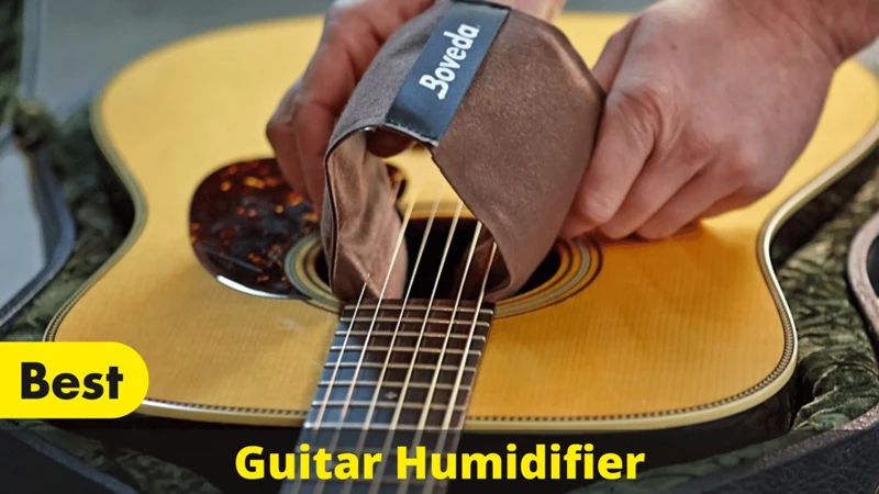 Top 5 Humidifiers For Acoustic Guitars