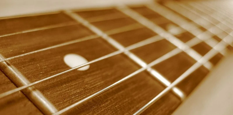 Ways To Customize Maple And Walnut Neck Guitars